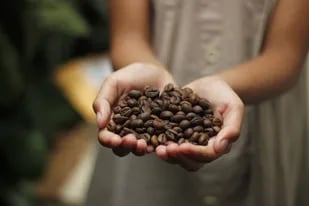 Entre otros productos, Costa Rica abastece al mundo de café, piña, banana y papaya