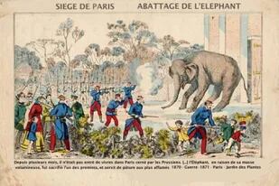 Una ilustración de la época muestra el sacrificio de uno de los elefantes del zoológico de París en 1870, cuando la ciudad estaba sitiada y los habitantes padecían una feroz hambruna