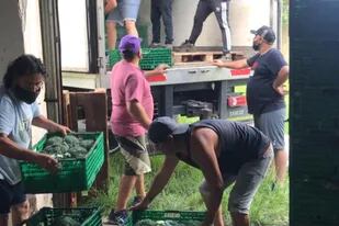 En pleno cinturón hortícola de Mar del Plata, donde hay alrededor de 1000 productores, Bancos de Alimentos crearon un centro de rescate de verduras y frutas