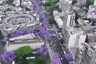 La foto de los jacarandás en Figueroa Alcorta se convirtió en una imagen icónica de Buenos Aires (Sol Torres Zavaleta)
