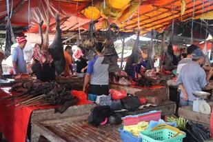 Murciélagos despiezados a la venta en un mercado en Indonesia; uno de los transmisores del coronavirus en los humanos