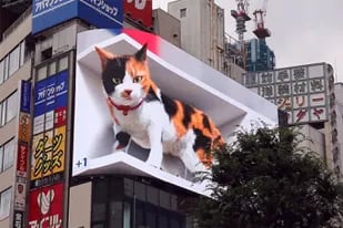 Así se ve el gato de Shinjuku, una animación realista que se muestra de forma aleatoria en una enorme pantalla curva LED y que se transformó en una de las nuevas atracciones de Tokio