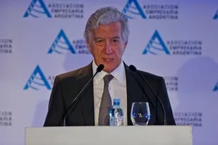 El presidente de AEA, Jaime Campos