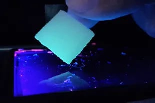 Una vista del prototipo del parche de hidrogel que reacciona ante una fuente externa de luz, un método que permite ajustar la hidratación y estimulación necesaria para regenerar tejidos