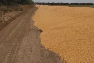 En Simbol Pozo, en el noroeste santiagueño vandalizaron bolsones con 1100 toneladas de maíz