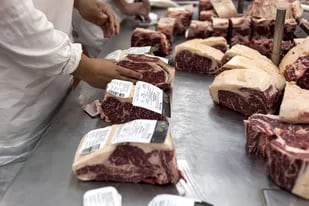 En julio último bajaron en US$50 millones las ventas al exterior de carne vacuna versus igual mes de 2020