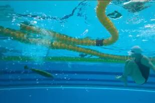 "Las nadadoras" se convirtió en una de las películas más vistas de Netflix (Foto: Captura de video)