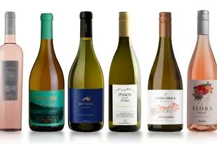 Bonvivir presenta los mejores vinos para el verano.