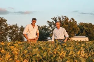 Ignacio y Gerardo Bartolomé, accionistas de GDM, adquirieron de manera personal la firma agrícola-ganadera LIAG Argentina