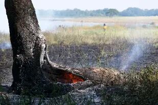 El fuego afectó hasta el momento el 3,8% de la superficie de la provincia de Corrientes. Archivo