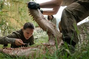 Natalie Portman y Tessa Thompson como dos de las integrantes de la expedición que ingresa en la misteriosa Área X
