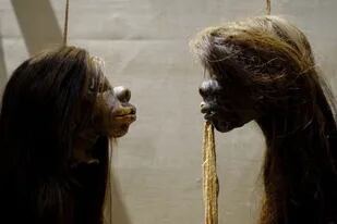 Las cabezas reducidas que se exhibían en el museo de Oxford fueron retiradas por considerarse un resabio de colonialismo