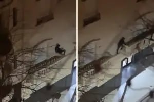 Un “hombre araña” entró a robar a un departamento y fue grabado por vecinos cuando saltaba de balcón a balcón