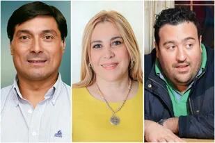 Pablo Ansaloni (Buenos Aires), Beatriz Ávila (Tucumán) y Antonio Carambia (Santa Cruz) formaron un interbloque que articulará con el Frente de Todos