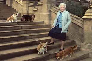 La reina Isabel II, amante de los perros de raza corgi, solía llevarlos con ella en sus viajes