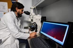 El doctor en bioquímica e investigador adjunto del Conicet, Ramiro Quintá, logró recientemente un avance prometedor en materia de lesiones de médula espinal