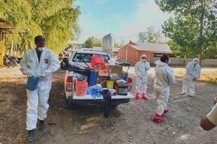 Técnicos del Senasa hicieron un operativo de "vaciamiento" en el establecimiento avícola de Mainqué, Río Negro