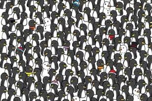 Desafío visual: encontrar los tres gatos en la imagen llena de pingüinos