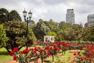 El barrio con más oferta gastronómica, cultural y de entretenimiento de Buenos Aires abunda de propuestas para pasear y disfrutar.