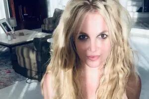 Britney Spears, muy cerca de un exconvicto que realizaba tareas de mantenimiento en su casa