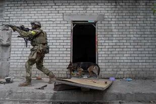 Un soldado de la Guardia Nacional de Ucrania toma un descanso en una casa utilizada como base temporal en una aldea recuperada recientemente en las afueras de Járkiv, en el este de Ucrania, el sábado 14 de mayo de 2022. (AP Foto/Bernat Armangue)