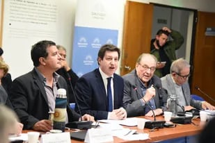 Los diputados de la comisión de Industria, donde se debate el proyecto de "compre argentino"