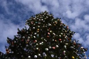El árbol de Navidad se arma y desarma en fechas establecidas por la tradición