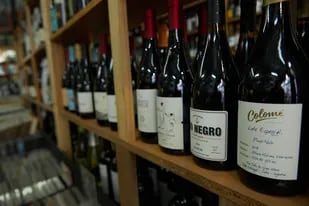 Los primeros pasos en la exportación de vino