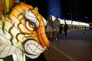Este año nuevo chino comienza el reinado del Tigre de Agua