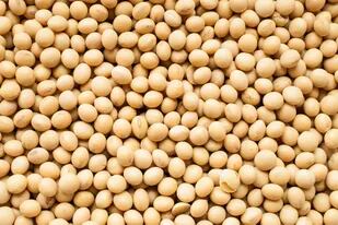 Un sorpresivo recorte de la estimación de cosecha de soja en EE.UU. impulsó la suba de los precios en Chicago