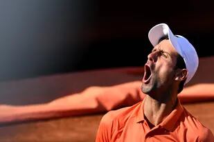 El serbio Novak Djokovic venció al griego Stefanos Tsitsipas y se consagró campeón en el Masters 1000 de Roma.
