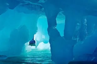 Muy por debajo de las plataformas de hielo de la Antártida, hay más vida de la esperada