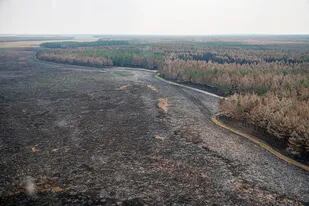 El fuego ya consumió en la provincia 785.238 hectáreas