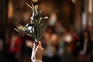 El último día de esta semana será el Domingo de Ramos que marca el fin de la Cuaresma y el principio de la Semana Santa