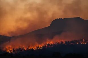 El cambio climático es un factor clave en el aumento de incendios forestales (Foto: Pixabay)