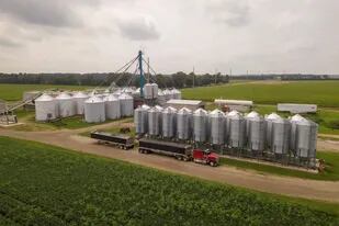 La compañía de Semillas Mendon Seed Growers en Michigan, EE.UU. La compró Agrality