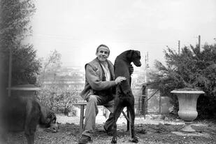 El escritor francés Louis-Ferdinand Celine (1894-1961), con sus perros. Circa 1950.