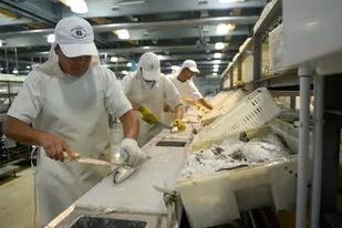 Buscan que "los productos de exportación del sector pesquero enteramente terminados en los territorios provinciales incrementen progresivamente su presencia y participación en los mercados internacionales”