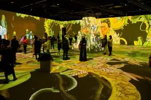 Al estilo de la exitosa muestra inmersiva de Van Gogh, el universo Frida llegarÃ¡ a Buenos Aires en el verano