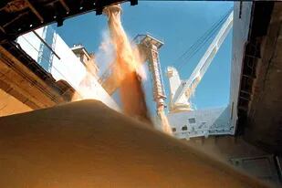 Vicentín es uno de los mayores exportadores de granos y subproductos