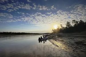 El destino de la Argentina que propone navegar entre yacarés por un río de 75 kilómetros