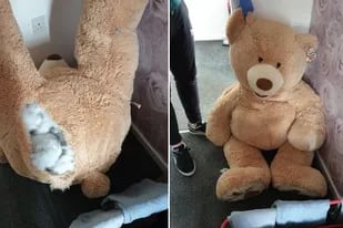 Un joven intentó escaparse de la policía escondiéndose dentro de un oso de peluche