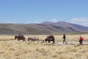 23-03-2022 Imagen de los Andes CULTURA ALLEGRA FILMS