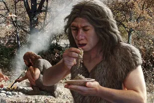 El descubrimiento de una cueva revela lo que les gustaba comer a los neandertales