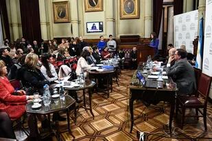 Reunión plenaria de las Comisiones de Salud, de Justicia y Asuntos Penales y de Asuntos Constitucionales del Honorable Senado de la Nación, en la que se trata el proyecto de I.V.E., que tiene media sanción de Diputados, en el salón Illia, en Buenos Aires, Argentina, el 25 de Julio de 2018