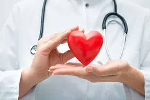 Tener un nivel elevado de grasa en la sangre aumenta el riesgo de sufrir cardiopatías. Conocé cómo mantener un corazón saludable