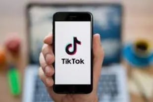 Un instructivo de cómo bajar videos de TikTok sin la marca de agua - LA  NACION