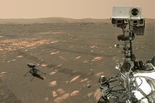 El robot Perseverance, que tiene el tamaño de un automóvil, aterrizó de manera segura en la superficie marciana el 18 de febrero pasado