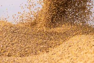 Durante septiembre se anotaron 3.806.144 toneladas de poroto de soja en el registro de declaraciones juradas de ventas al exterior