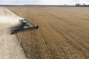 Ayer la Bolsa de Cereales de Buenos Aires relevó el avance de la cosecha de soja argentina sobre el 97,4% del área apta